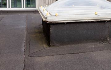 disadvantages of Horn Ash flat roofs