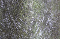 Horn Ash fibreglass roof work